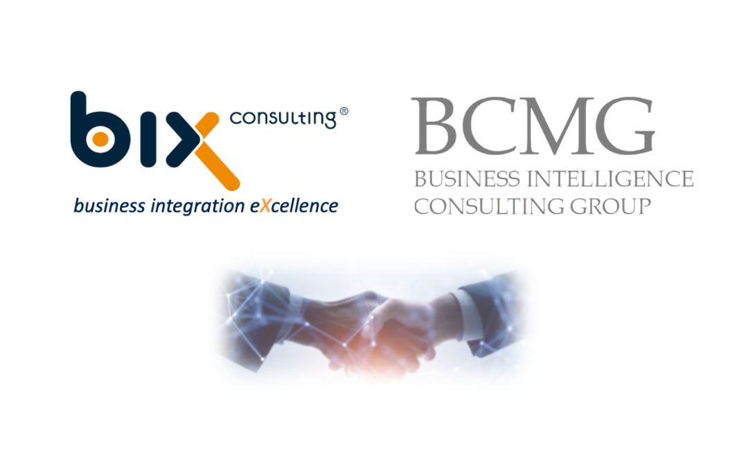 biX Consulting wird strategischer Investor bei der BCMG